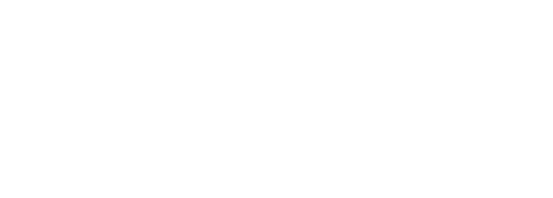Sam Auto Driver